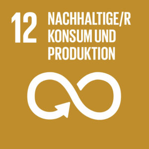 Ziel 12: Nachhaltiger Konsum und Produktion